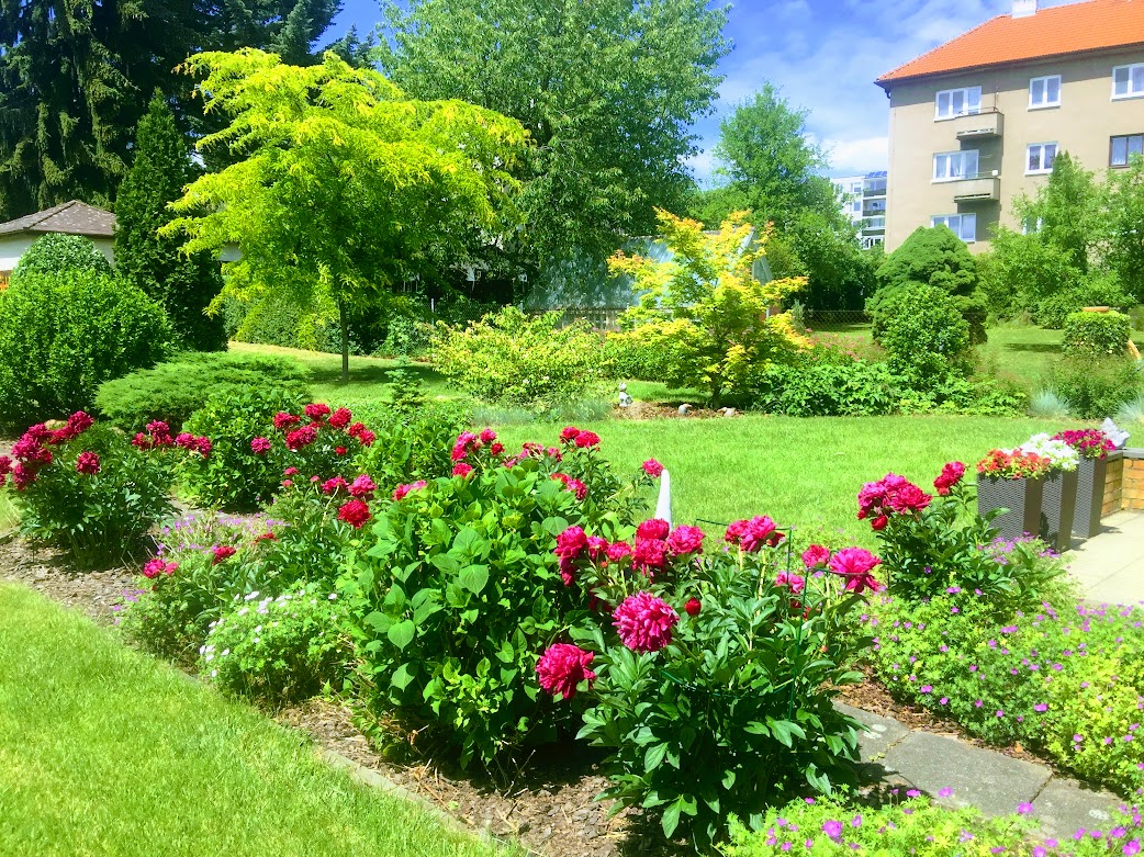 Zahradní kompozice