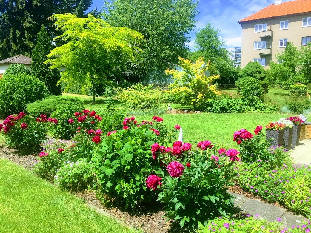 Moderní zahrada Dejvice
